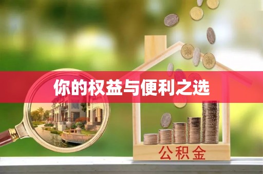 阳明你的权益与便利之选