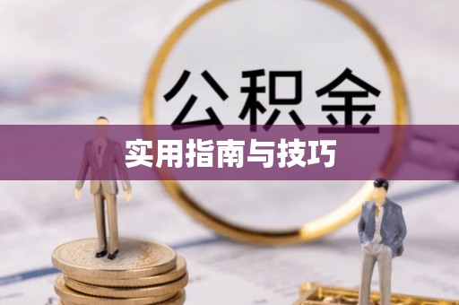 阳明实用指南与技巧