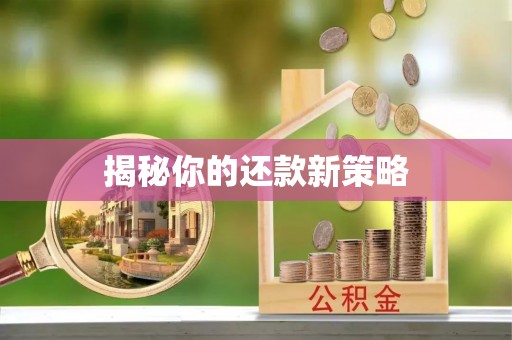 阳明揭秘你的还款新策略