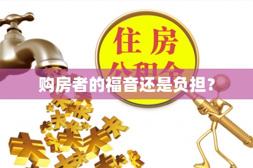 阳明购房者的福音还是负担？