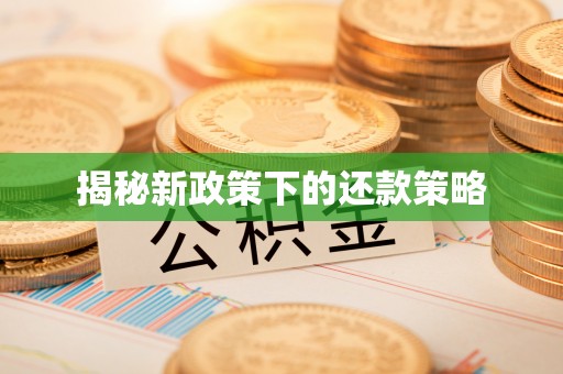 阳明揭秘新政策下的还款策略