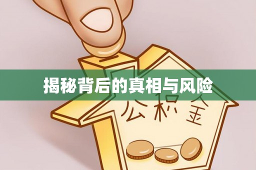 阳明揭秘背后的真相与风险