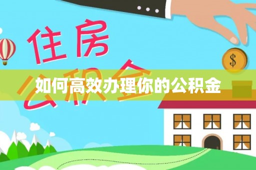 阳明如何高效办理你的公积金