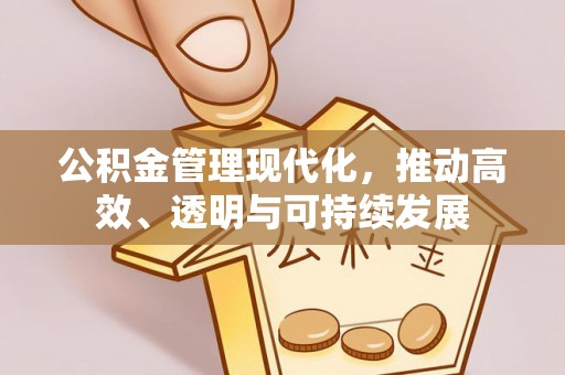 阳明公积金管理现代化，推动高效、透明与可持续发展