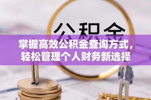 阳明掌握高效公积金查询方式，轻松管理个人财务新选择