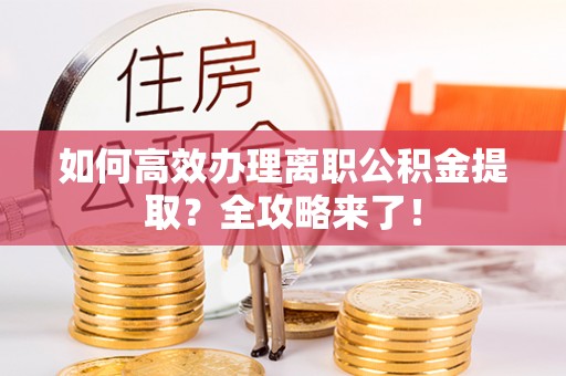 阳明如何高效办理离职公积金提取？全攻略来了！