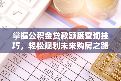 阳明掌握公积金贷款额度查询技巧，轻松规划未来购房之路