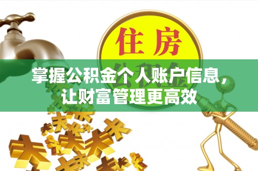 阳明掌握公积金个人账户信息，让财富管理更高效