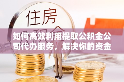 阳明如何高效利用提取公积金公司代办服务，解决你的资金难题