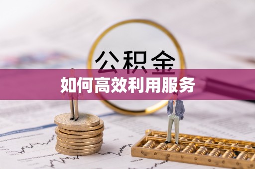 阳明如何高效利用服务