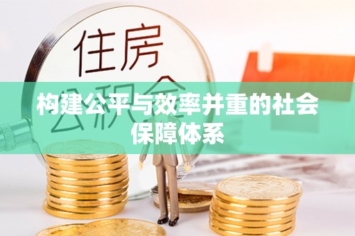 阳明构建公平与效率并重的社会保障体系