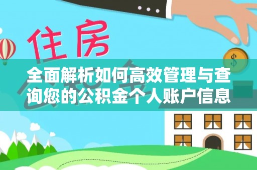阳明全面解析如何高效管理与查询您的公积金个人账户信息