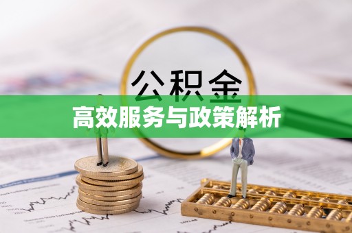 阳明高效服务与政策解析