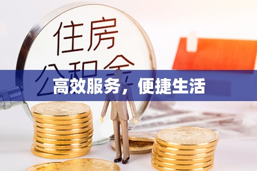阳明高效服务，便捷生活