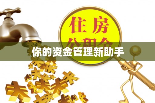 阳明你的资金管理新助手