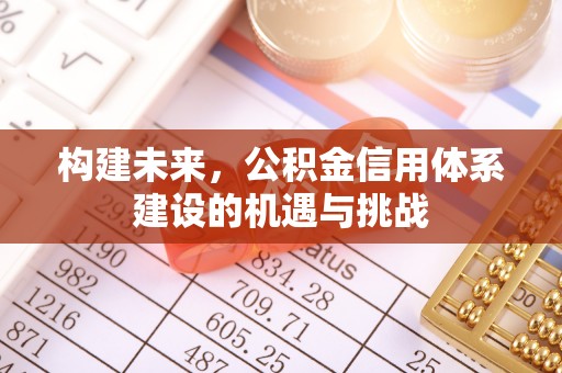 阳明构建未来，公积金信用体系建设的机遇与挑战