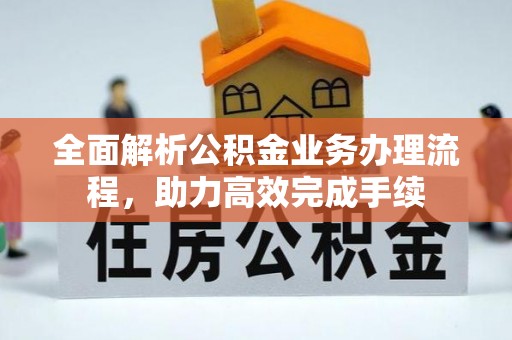 阳明全面解析公积金业务办理流程，助力高效完成手续