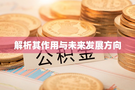 阳明解析其作用与未来发展方向