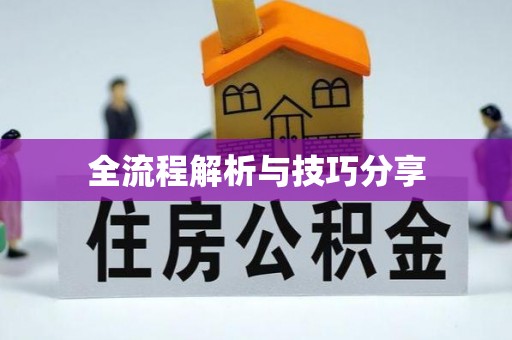 阳明全流程解析与技巧分享